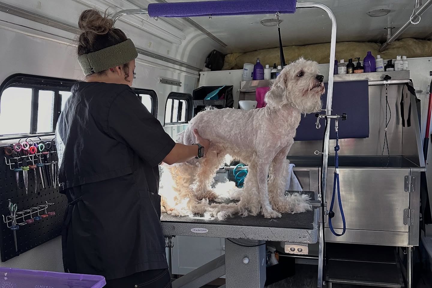 Cute white fluffy dog standing on grooming table while groomer cuts its hair gently